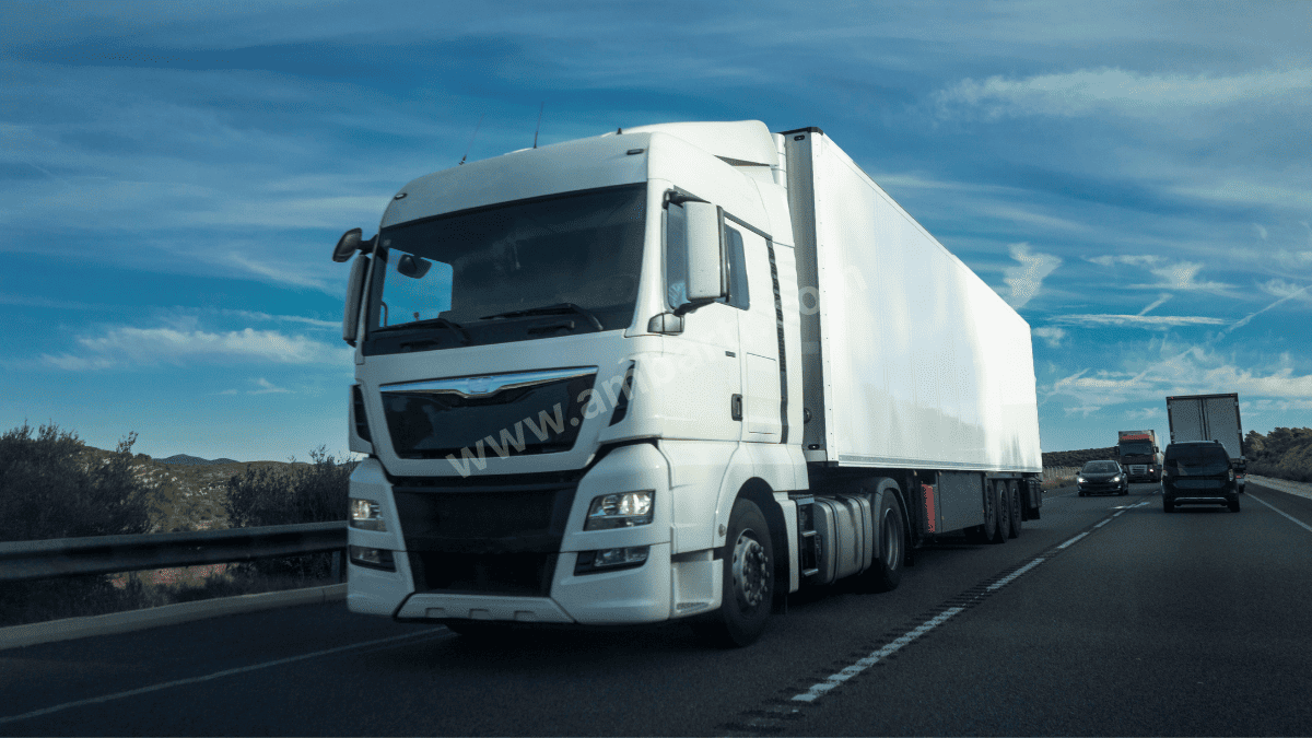 Kartepe Şehirler Arası Taşıma